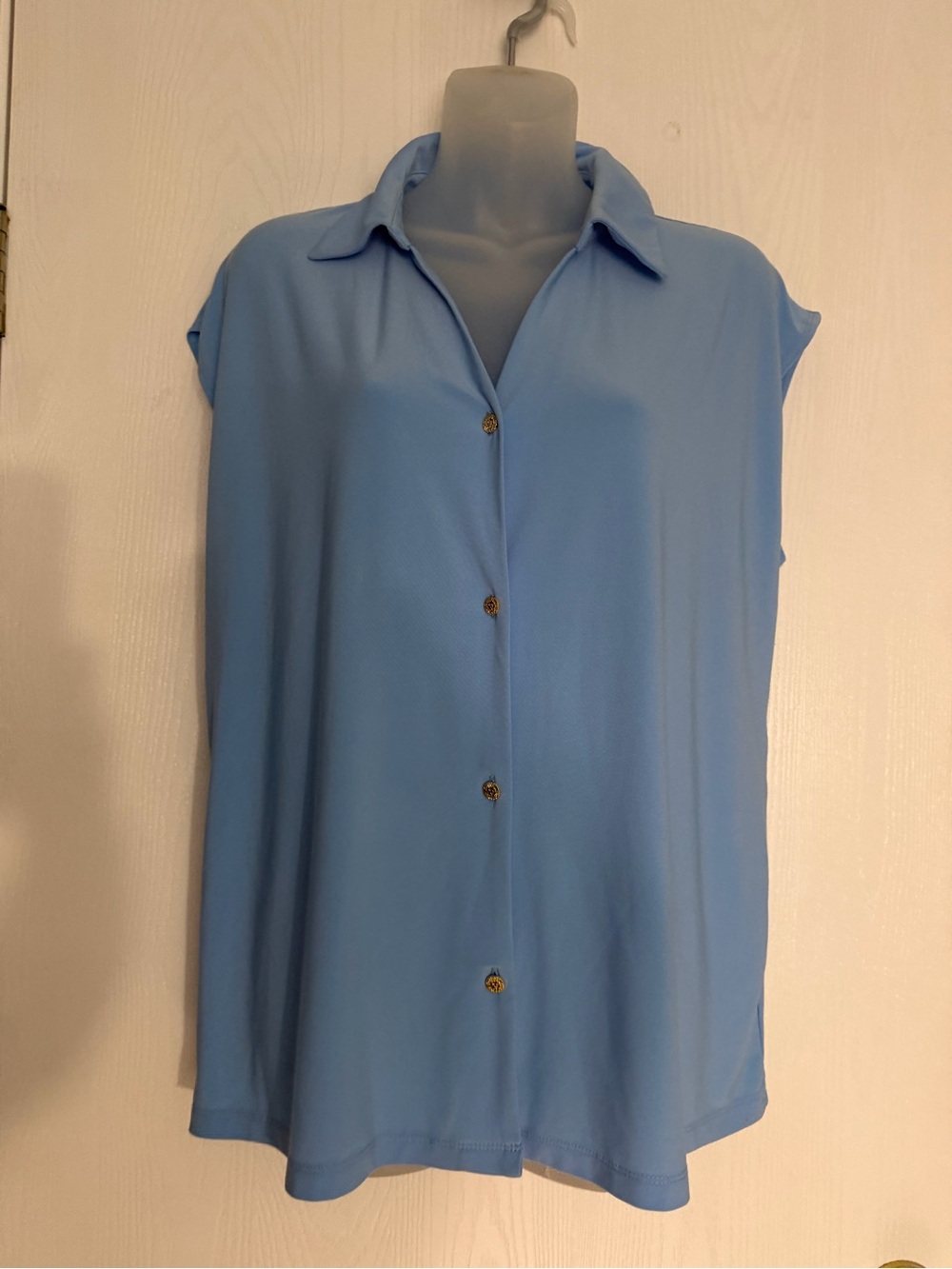 Light Blue Sleeveless Button-Up Shirt